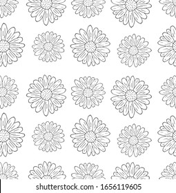 Vector seamless pattern of hand drawn doodle sketch daisy chamomile flower isolated on white background