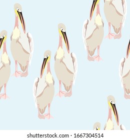Vector seamless pattern with hand drawn cute pelicans. Hand drawn beautiful animal design elements on baby blue background. 