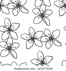 Vector seamless pattern with hand drawn sakura flowers made with ink. Delicate and romantic floral design elements, perfect for prints and patterns