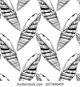 Vector seamless pattern with hand drawn seashells. Beautiful marine design elements, perfect for prints and patterns.