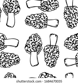 Vector seamless pattern with hand drawn wild morel mushrooms. Ink drawing, beautiful food design elements.