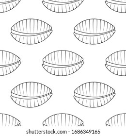 Vector seamless pattern with hand drawn seashells. Beautiful marine design elements for print, packaging, textile