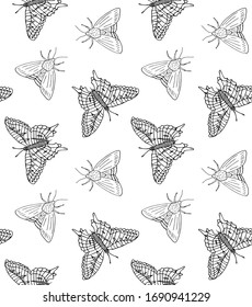 Vector seamless pattern of hand drawn doodle sketch butterfly and moth isolated on white background