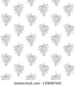 Vector seamless pattern of hand drawn doodle sketch grapes isolated on white background