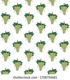 Vector seamless pattern of hand drawn doodle sketch green grape isolated on white background
