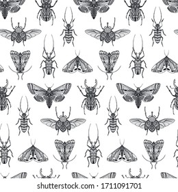 Vector seamless pattern with hand drawn insects, moth, butterfly, beetle, bug. Entomological magical endless background