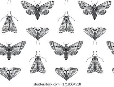 Vector seamless pattern with hand drawn insects, moth, butterfly. Entomological magical endless background.