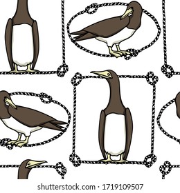 Vector seamless pattern with hand drawn cute Brown Boobies in nautical rope frames. Ink drawing, beautiful animal and nautical design elements. Perfect for prints and patterns