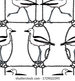 Vector seamless pattern with hand drawn cute crab-plovers in nautical rope frames. Beautiful animal design elements, ink drawing,perfect for prints and patterns