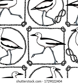 Vector seamless pattern with hand drawn cute crab-plovers in nautical rope frames. Beautiful animal design elements, ink drawing,perfect for prints and patterns