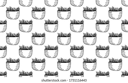 Vector seamless pattern with hand drawn herbs. Green houseplant in the pot. Home interior decoration. Gardening plant