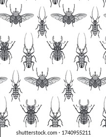 Vector seamless pattern with hand drawn insects, moth, butterfly, beetle, bug. Entomological magical endless background.