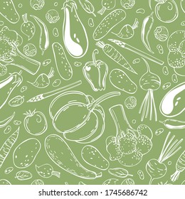 Vector seamless pattern with  hand drawn  vegetables 