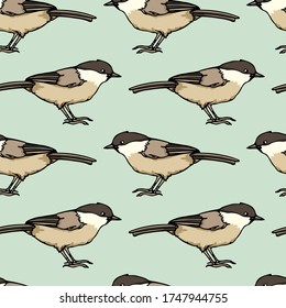 Vector seamless pattern with hand drawn Willow Tit. Ink drawing, beautiful animal design elements. Perfect for prints and patterns