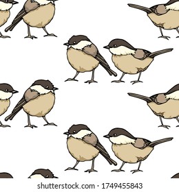 Vector seamless pattern with hand drawn Willow Tit. Ink drawing, beautiful animal design elements. Perfect for prints and patterns
