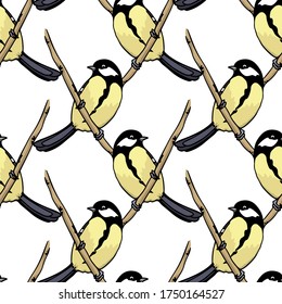 Vector seamless pattern with hand drawn Grand Tit sitting on a tree branch. Ink drawing, beautiful animal design elements. Perfect for prints and patterns