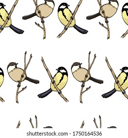 Vector seamless pattern with hand drawn Willow Tits and Grand Tits sitting on a tree branch. Ink drawing, beautiful animal design elements. Perfect for prints and patterns