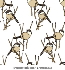Vector seamless pattern with hand drawn Willow Tit sitting on a tree branch. Ink drawing, beautiful animal design elements. Perfect for prints and patterns