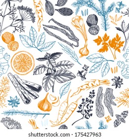 Vector seamless pattern with hand drawn spices illustrations. Decorative background.