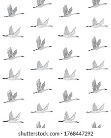 Vector seamless pattern of hand drawn doodle sketch colored flying crane bird isolated on white background