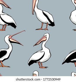 Vector seamless pattern with hand drawn cute pelicans. Ink drawing, beautiful animal and nautical design elements. Perfect for prints and patterns