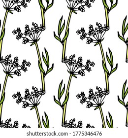 Vector seamless pattern with hand drawn Queen Anne's lace flowers. Beautiful floral design elements, ink drawing, perfect for prints and patterns
