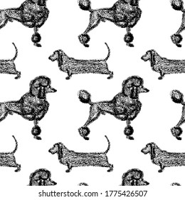 Vector seamless pattern with hand drawn cute poodles and dachshunds. Chalk drawing, graphic style. Beautiful animal design elements, perfect for prints and patterns