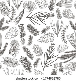 Vector  seamless pattern with hand drawn branches and cones of coniferous trees. Christmas plants. 