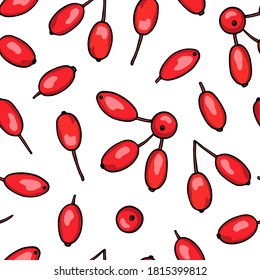 Vector seamless pattern with hand drawn barberries. Beautiful floral design elements, ink drawing. Perfect for prints and patterns