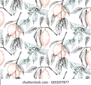 Vektornahtloses Muster mit handgezeichneten frischen Zitronenzweigen, Früchten und Blumen im Skizzenstil. Detaillierte Zeichnung von vegetarischen Speisen. Schöner, endloser Hintergrund