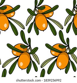Vector seamless pattern with hand drawn argan tree branches. Beautiful food design elements, perfect for prints and patterns