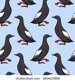 Vector seamless pattern with hand drawn black guillemots. Beautiful animal design elements, ink drawing. Perfect for prints and patterns