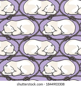 Vector seamless pattern with hand drawn sweet sleeping polar bears in nautical rope frames. Beautiful ink drawing, animal illustration. Perfect for prints and patterns