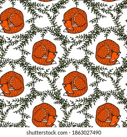 Vector seamless pattern with hand drawn sweet sleeping red foxes in floral wreath. Beautiful animals design elements, ink drawing made in cartoonish style. Perfect for prints and patterns
