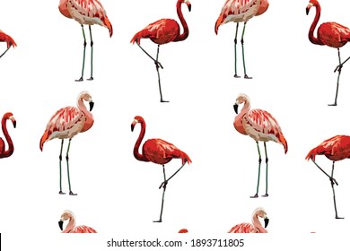 Vector seamless pattern with hand drawn flamingo birds in art markers style