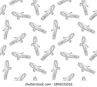 Vector seamless pattern of hand drawn doodle sketch flying griffon vulture bird isolated on white background