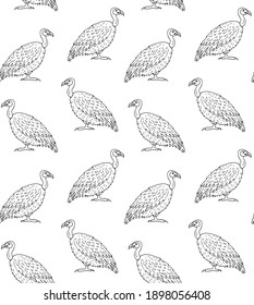 Vector seamless pattern of hand drawn doodle sketch griffon vulture bird isolated on white background