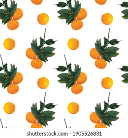 Vector seamless pattern with hand drawn mandarins, tangerines,  clementines branch with citrus fruits and leaves in art markers style