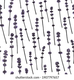 Vector seamless pattern with hand drawn lavender flowers in watercolor style