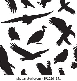 Vector seamless pattern of hand drawn wild predator bird silhouette isolated on white background