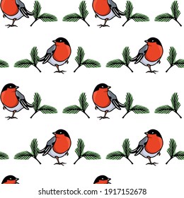 Vector seamless pattern with hand drawn sweet bullfinches with pine twigs made with ink. Beautiful animal design elements, perfect for prints and patterns