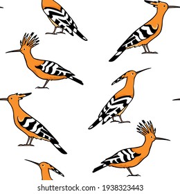 Vector seamless pattern with hand drawn sweet Hoopoes. Ink drawing, graphic style. Beautiful animal design elements, perfect for prints and patterns