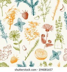 Vector seamless pattern with hand drawn medical herbs and spices. 