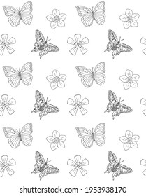 Vector Seamless Pattern Of Hand Drawn Doodle Sketch Butter Fly And Flowers Isolated On White Background