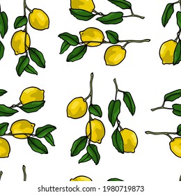 Vector seamless pattern with hand drawn lemon tree branches with ripe juicy fruits. Beautiful ink drawing, vibrant colors. Wonderful food design elements, perfect for prints and patterns