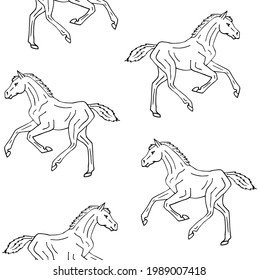 Vector seamless pattern of hand drawn doodle sketch horse foal isolated on white background