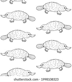 Vector seamless pattern of hand drawn doodle sketch Platypus duckbill isolated on white background