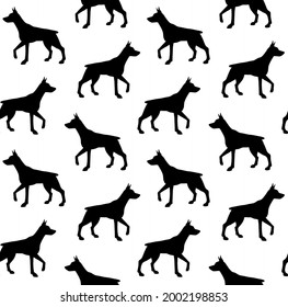 Vector seamless pattern of hand drawn doberman dog silhouette isolated on white background