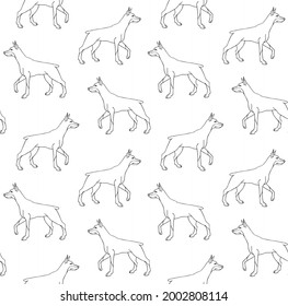 Vector seamless pattern of hand drawn doodle sketch doberman dog isolated on white background