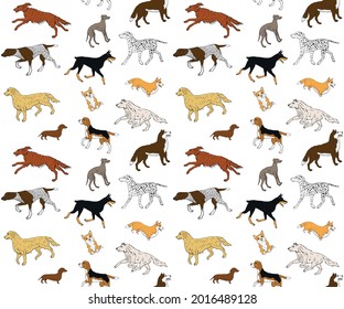 Vector seamless pattern of hand drawn doodle sketch colored different dog breed isolated on white background